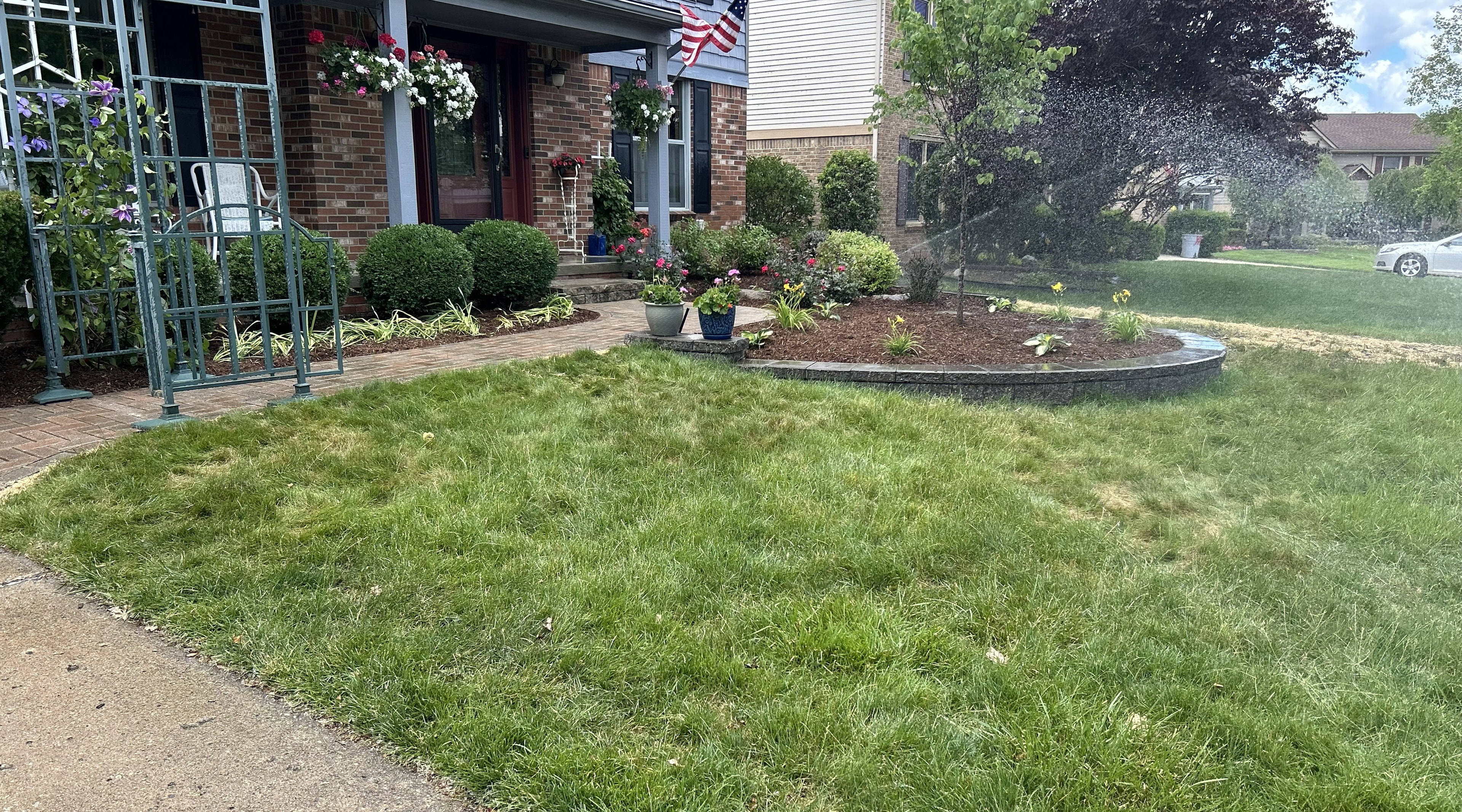 Landscaping and sod project